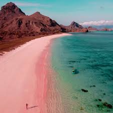 Pink Beach Indonesia