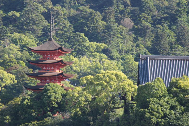 Japanese Pagoda in Lush Forest