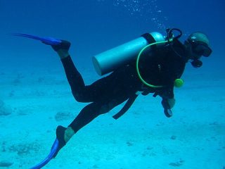 Why Marine Conservation Experiences Are Becoming a Must Have for Travellers