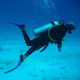Why Marine Conservation Experiences Are Becoming a Must Have for Travellers