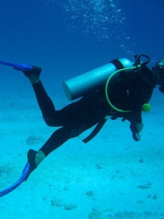 Why Marine Conservation Experiences Are Becoming a Must Have for Travellers