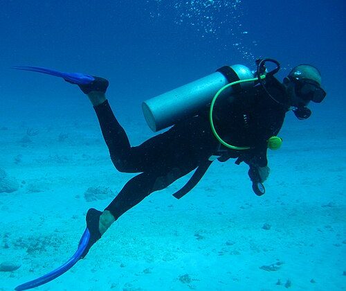 Why Marine Conservation Experiences Are Becoming a Must Have for Travellers