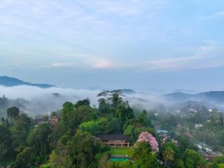 Exploring Kandy Through Culture, Food, and Tradition