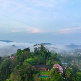 Exploring Kandy Through Culture, Food, and Tradition