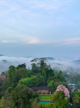 Exploring Kandy Through Culture, Food, and Tradition