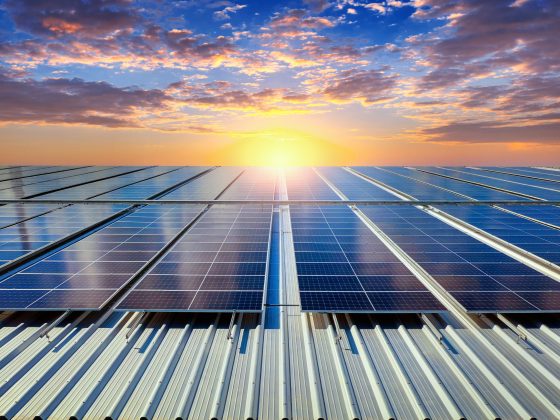 Renewable Energy Progress in the Maldives Islands Solar Diesel Use and Visitor Impact