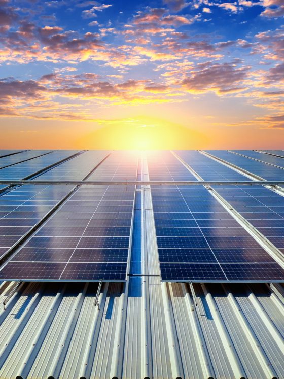 Renewable Energy Progress in the Maldives Islands Solar Diesel Use and Visitor Impact