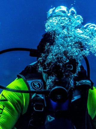 Scuba Diving and Snorkeling Near Dubai What You Can See and When to Go