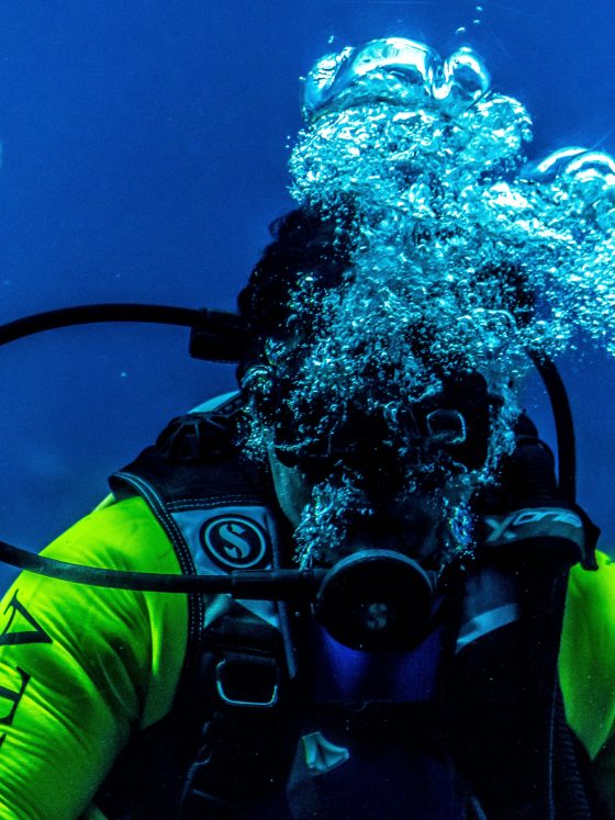 Scuba Diving and Snorkeling Near Dubai What You Can See and When to Go
