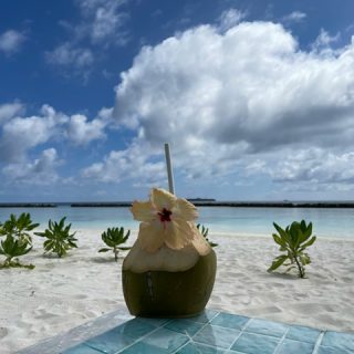 How to Plan a Private Island Picnic in the Maldives Without the Stress