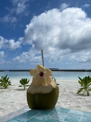 How to Plan a Private Island Picnic in the Maldives Without the Stress