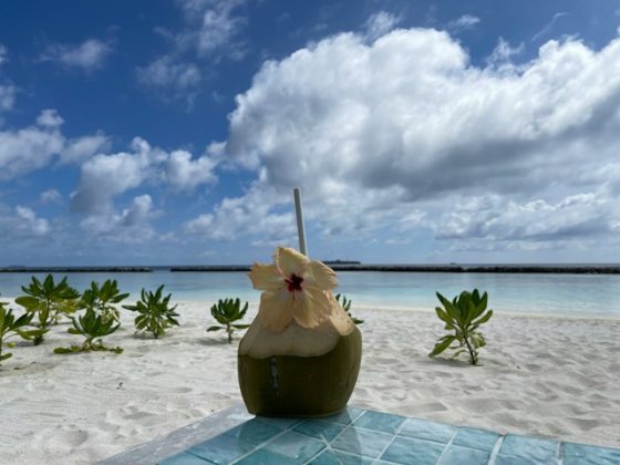 How to Plan a Private Island Picnic in the Maldives Without the Stress