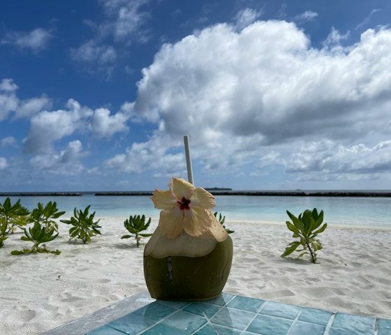 How to Plan a Private Island Picnic in the Maldives Without the Stress