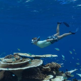 Exploring the Maldives for Marine Life: The Best Times for Unforgettable Encounters