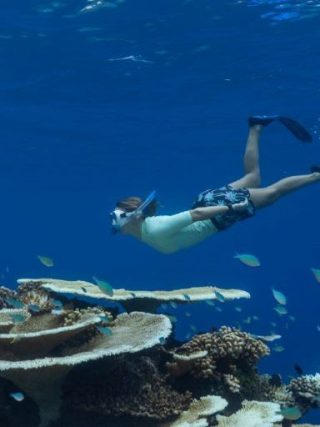 Exploring the Maldives for Marine Life: The Best Times for Unforgettable Encounters