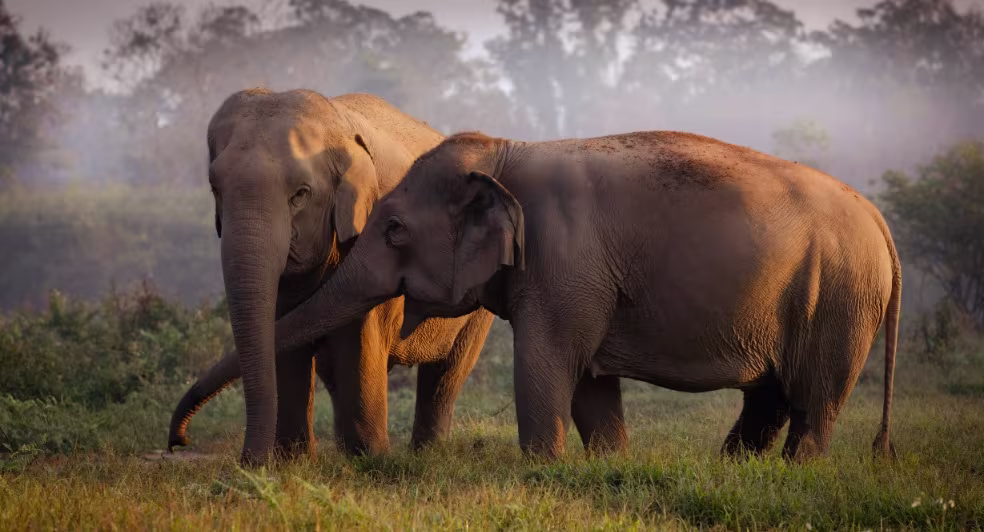 What Are the Best Things to Do in Chiang Rai Beyond the Temples?