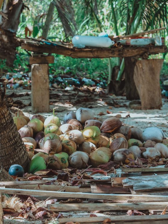 How Koh Samui Is Becoming a Favourite Destination for Experiential Island Travel