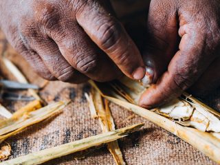 A Day Among Sri Lanka's Cinnamon Gardens