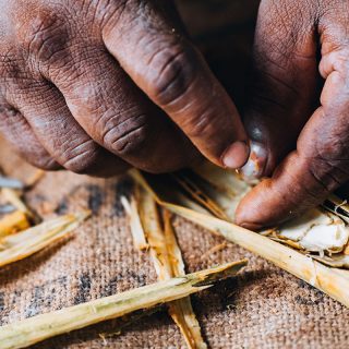 A Day Among Sri Lanka's Cinnamon Gardens