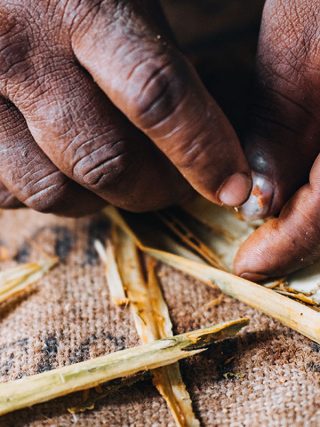 A Day Among Sri Lanka's Cinnamon Gardens