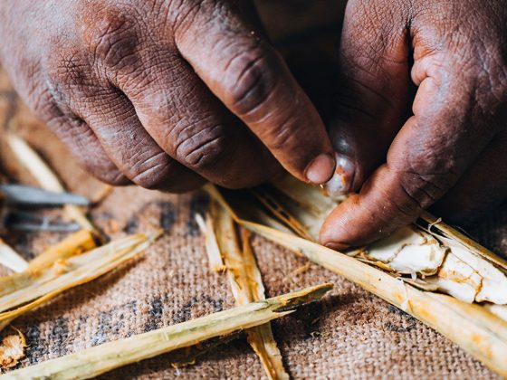 A Day Among Sri Lanka's Cinnamon Gardens