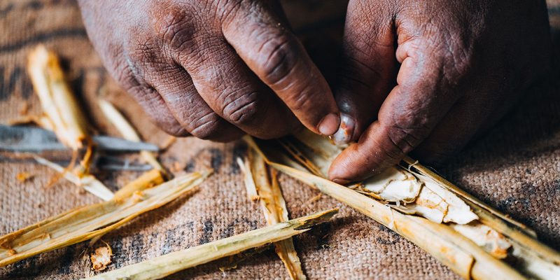 A Day Among Sri Lanka's Cinnamon Gardens