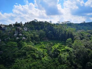 A Complete Guide to Exploring Payangan
