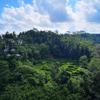 A Complete Guide to Exploring Payangan