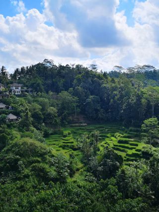 A Complete Guide to Exploring Payangan