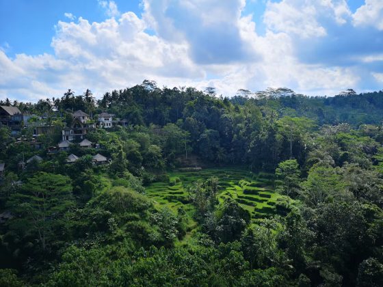 A Complete Guide to Exploring Payangan