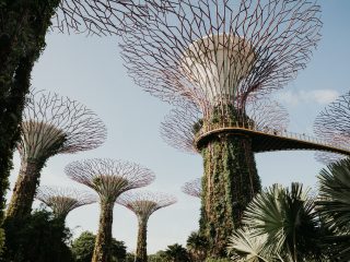 How to Spend 24 Hours in Singapore without Expensive Attractions