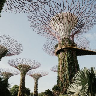How to Spend 24 Hours in Singapore without Expensive Attractions