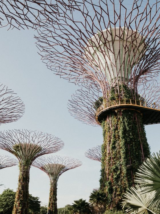 How to Spend 24 Hours in Singapore without Expensive Attractions