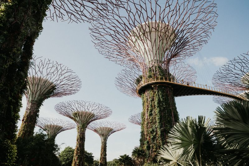 How to Spend 24 Hours in Singapore without Expensive Attractions