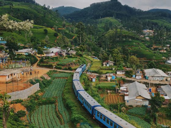 Why Nuwara Eliya Feels So Different From the Rest of Sri Lanka